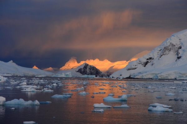 Antarktika liustikealune pakatab elust