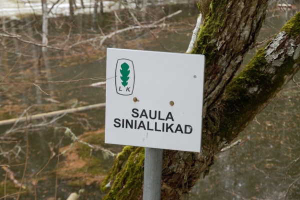Looduslikud pühapaigad Eesti maastikus ja kultuuris