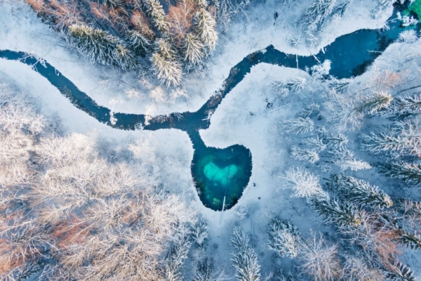 Selgunud on Hiite kuvavõistluse võitjad: “Metsa süda” tõi Eestisse rahvusvahelise hiite kuvavõistluse peaauhinna