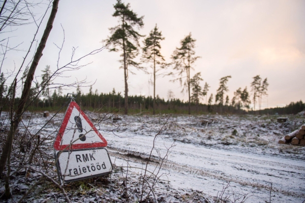 Eestimaa Looduse Fond: Eesti metsandus peab olema säästlik, värske statistika ei leevenda loodusteadlaste ja -ühenduste muret