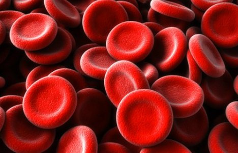 Kuidas tekkisid erinevad veregrupid?