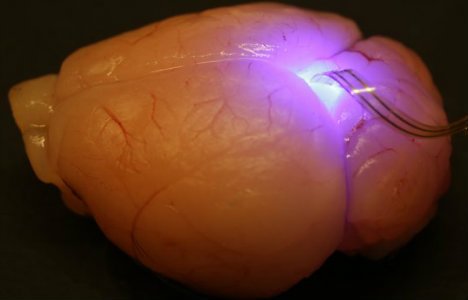 Mikro-LED võimaldab ohutult ajuga manipuleerida