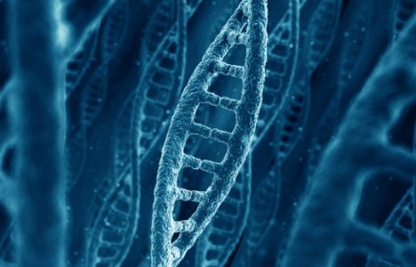 Inimgeenide patenteerimine: Jah, firmad võivad sinu DNA-d omada