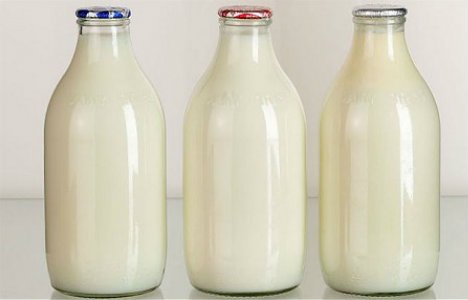 Piimajoomise kahjulikkusest ja kasulikkusest