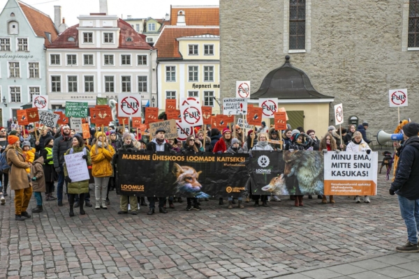 Loomus kutsub kolmapäeval Riigikogu ette näitama toetust karusloomafarmide keelustamisele