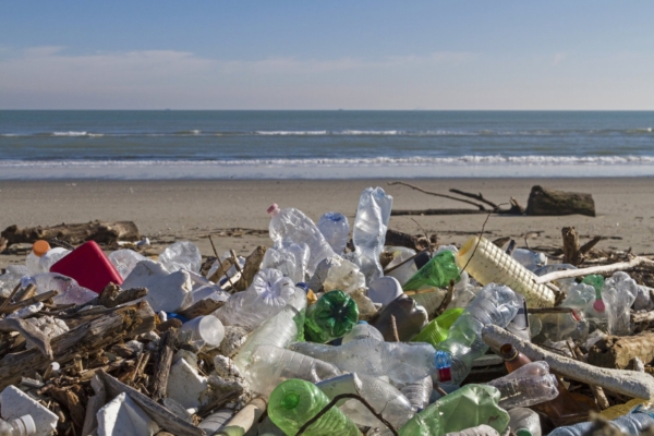 Plastikreostuse probleemi lahendavad plasti söövad ussikesed?
