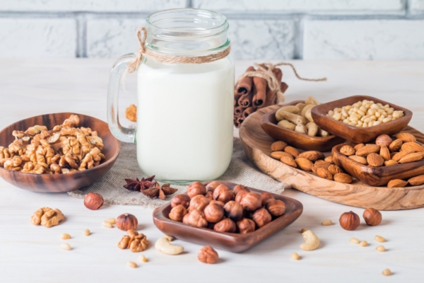 Lihtne nipp, kuidas valmistada ise pähkli-, seemne ja kaerapiima