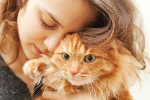 20 head põhjust, miks igal naisel peaks kodus olema kass