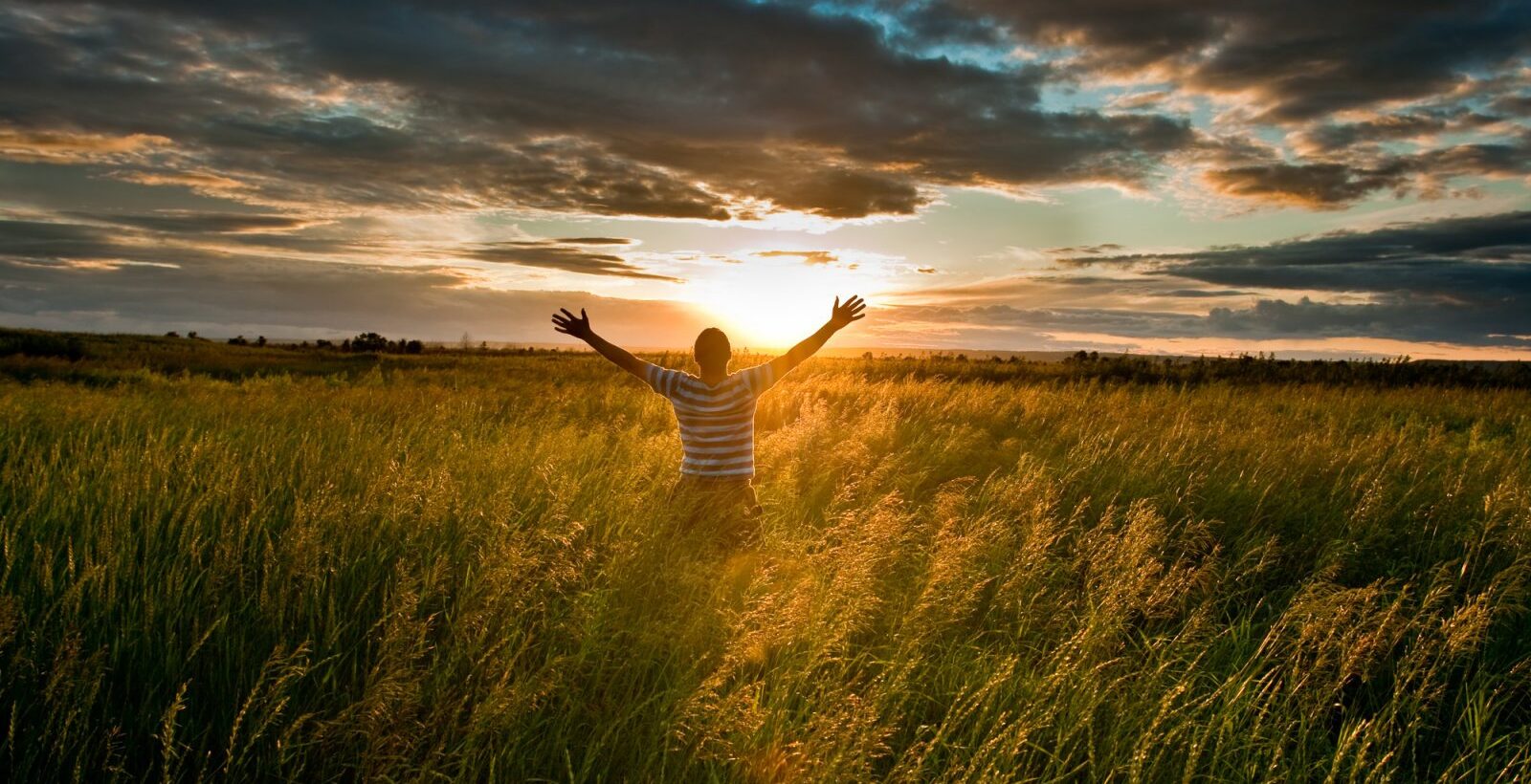 Osho tsitaadid elust, armastusest ja julgusest