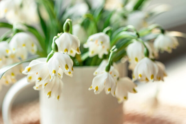 Täna on pendipäev – ära too metsast puid ega tööta terariistadega