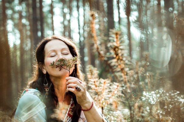 Taimetark Irje Karjus soovitab: teeleht aitab korrastada seedimist ja leevendab kõhuvalu