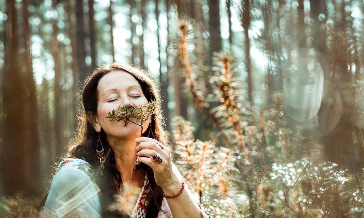 Taimetark Irje Karjus soovitab: teeleht aitab korrastada seedimist ja leevendab kõhuvalu